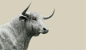 Market Concentration Follow Up