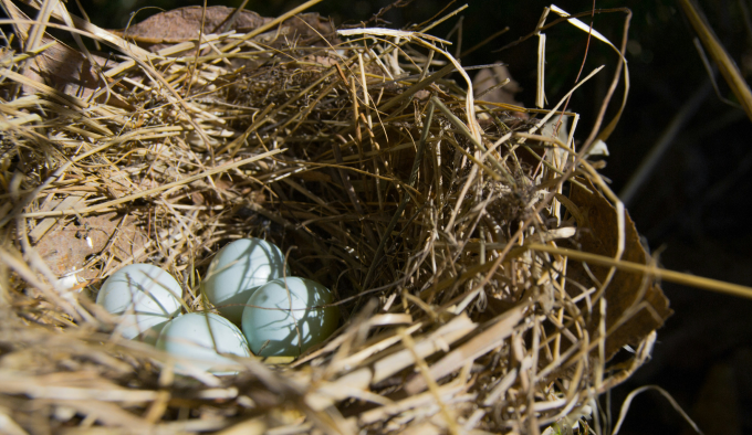 2024 Updates to the Secure Act 2.0 Featured Image