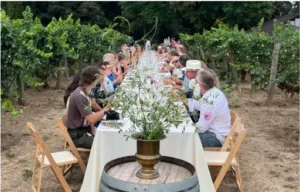 People sitting at a table outside