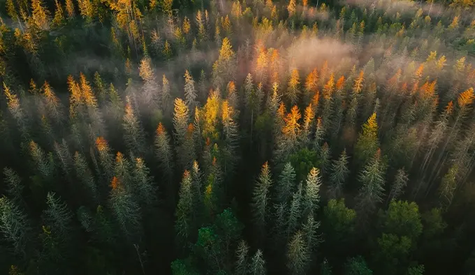 JGP Wealth Management Named One of USA TODAY’s Best Financial Advisory Firms 2026